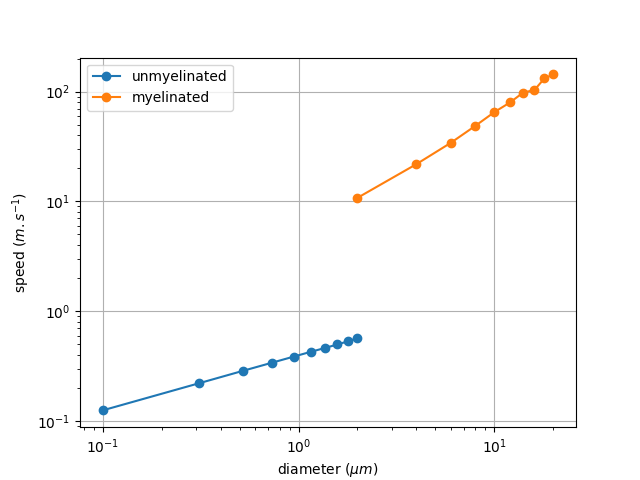 2 propagation velocity