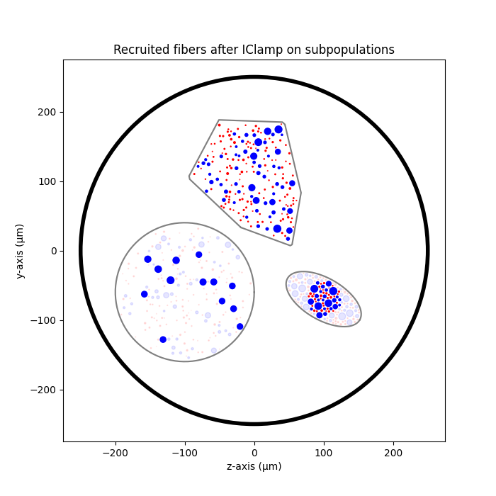 Recruited fibers after IClamp on subpopulations