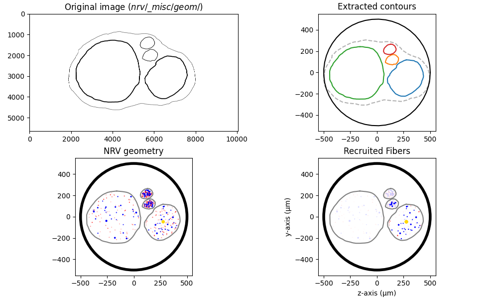 Original image ($nrv/\_misc/geom/$), Extracted contours, NRV geometry, Recruited Fibers