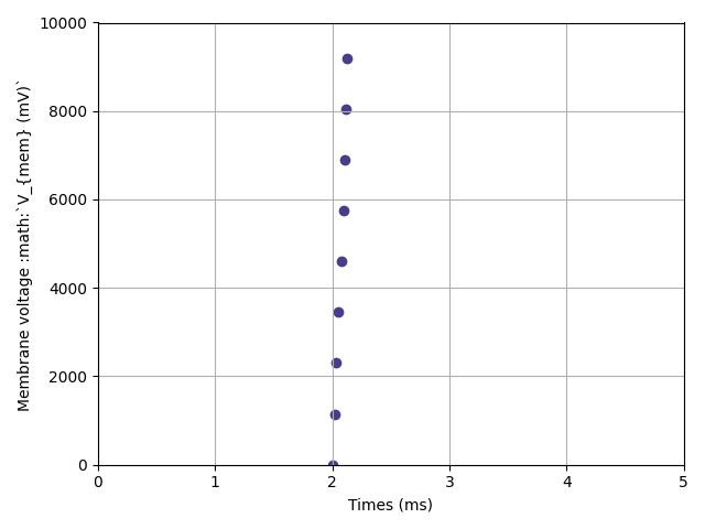 5 first optimization