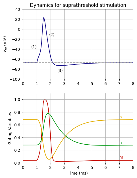 ../../_images/examples_generic_04_AP_particles_1_1.png