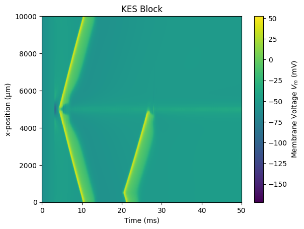 ../../_images/examples_generic_08_KES_block_unmyelinated_1_2.png