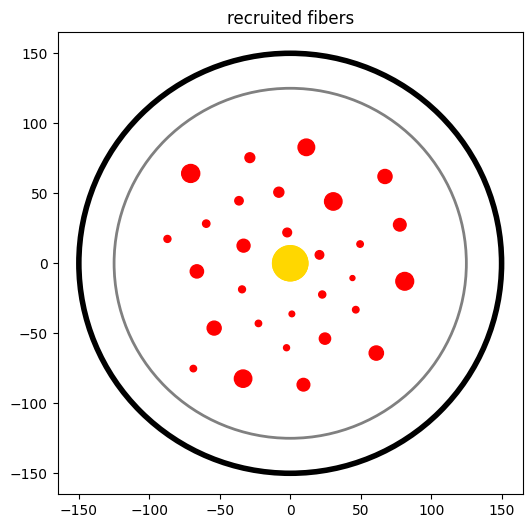 ../../_images/examples_optim_o01_nerve_optimization_1_1649.png