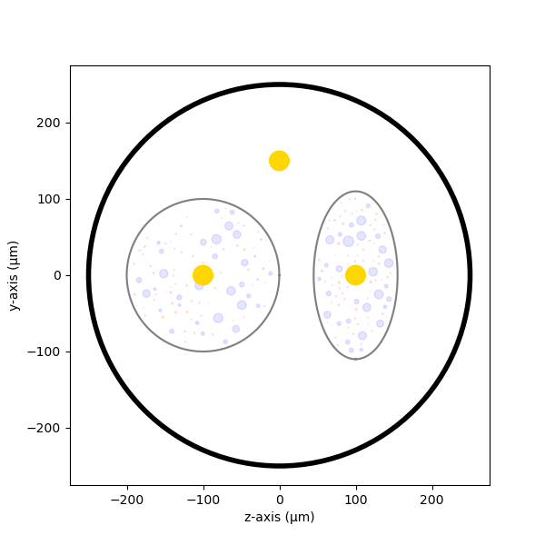 4 nerve simulation