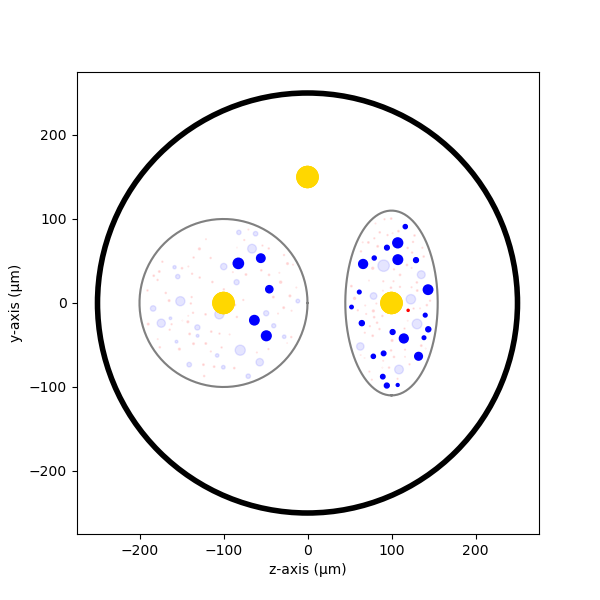 4 nerve simulation