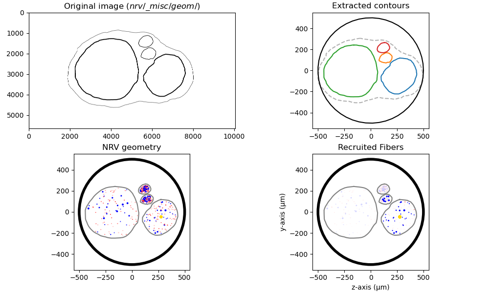 Original image ($nrv/\_misc/geom/$), Extracted contours, NRV geometry, Recruited Fibers