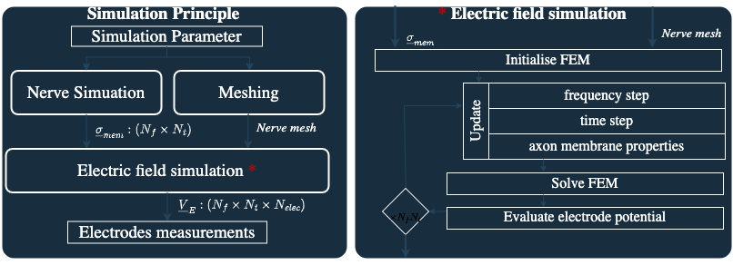 ../_images/ug_EIT_principle_dark.png