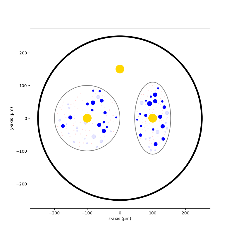 4 nerve simulation