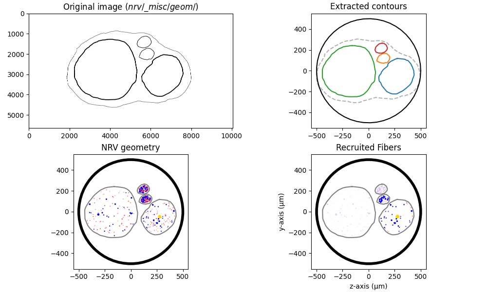 Original image ($nrv/\_misc/geom/$), Extracted contours, NRV geometry, Recruited Fibers