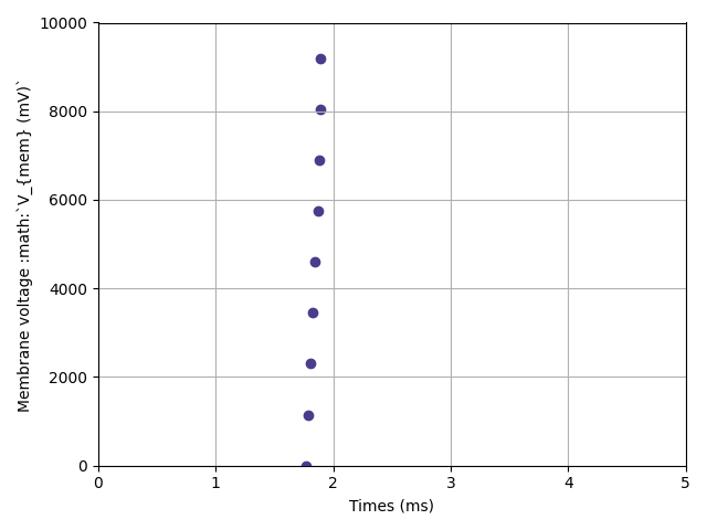 5 first optimization
