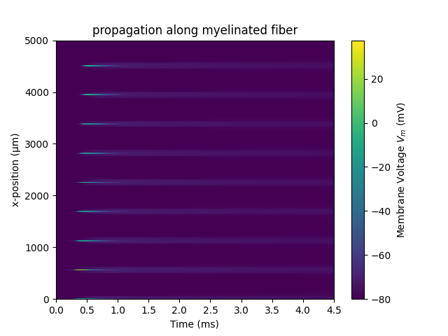 propagation along myelinated fiber