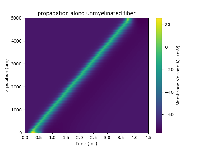 propagation along unmyelinated fiber