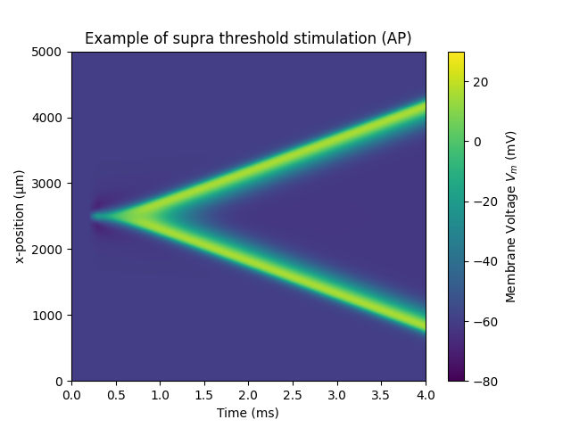 Example of supra threshold stimulation (AP)