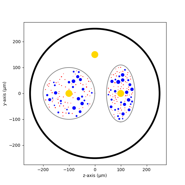 4 nerve simulation