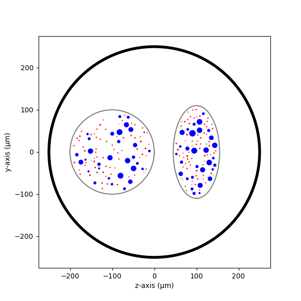 4 nerve simulation