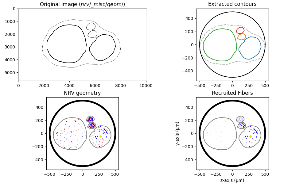 Original image ($nrv/\_misc/geom/$), Extracted contours, NRV geometry, Recruited Fibers