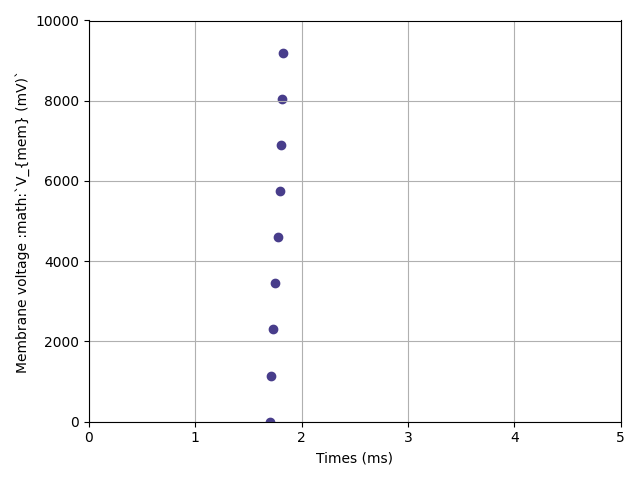 5 first optimization